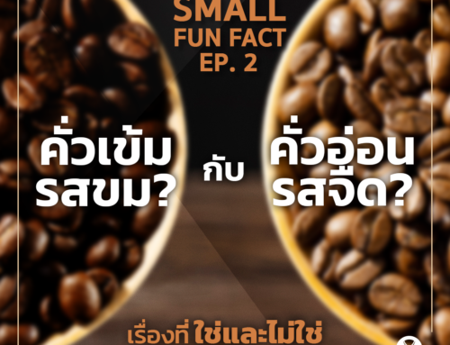 Coffee’s Small Fun Fact EP.2 คั่วเข้มคือขม? คั่วอ่อนรสจืด? เรื่องที่ใช่และไม่ใช่เกี่ยวกับระดับการคั่วกาแฟ